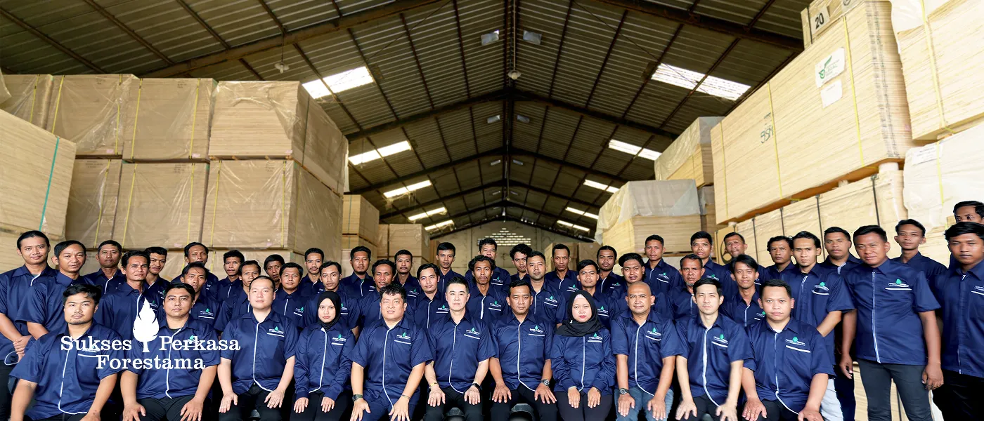 Distributor Triplek (Plywood) dekat Pergudangan Suri Mulia Surabaya Lengkap & Terpercaya | PT Sukses Perkasa Forestama