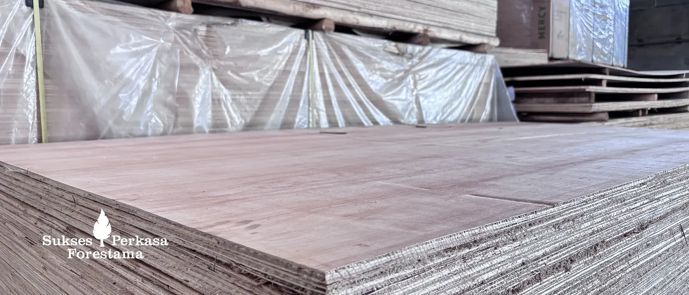 Distributor Triplek (Plywood) untuk Kontraktor Surabaya Profesional & Terpercaya | PT Sukses Perkasa Forestama