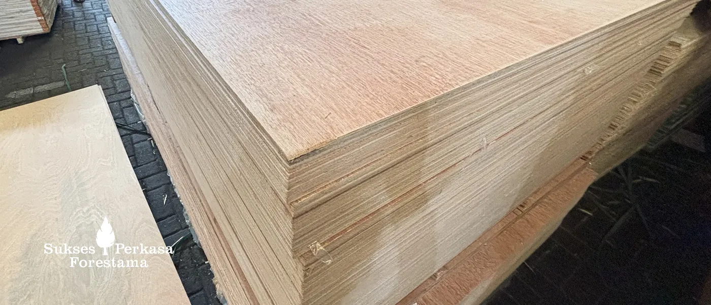 Distributor Triplek (Plywood) Jawa Timur Lengkap & Terpercaya | PT Sukses Perkasa Forestama